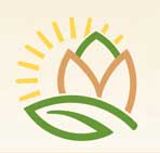 فلزیاب صنعتی پسته خندان کرمان